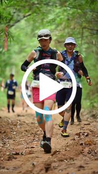 BIB:  <button type="button" onclick="openModal(26807972)" class="btn btn-primary btn-sm float-right" data-toggle="modal" data-target=".modal-high-quality">
                <i class="fa fa-download"></i> Download
                </button>